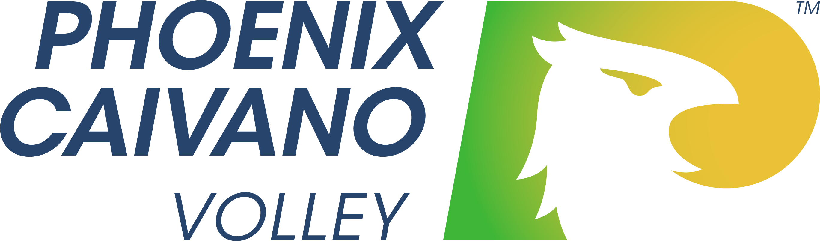 A.S.D. Phoenix Caivano Volley